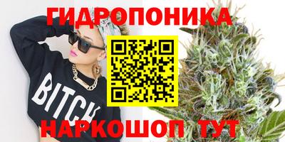2c-b Анжеро-Судженск