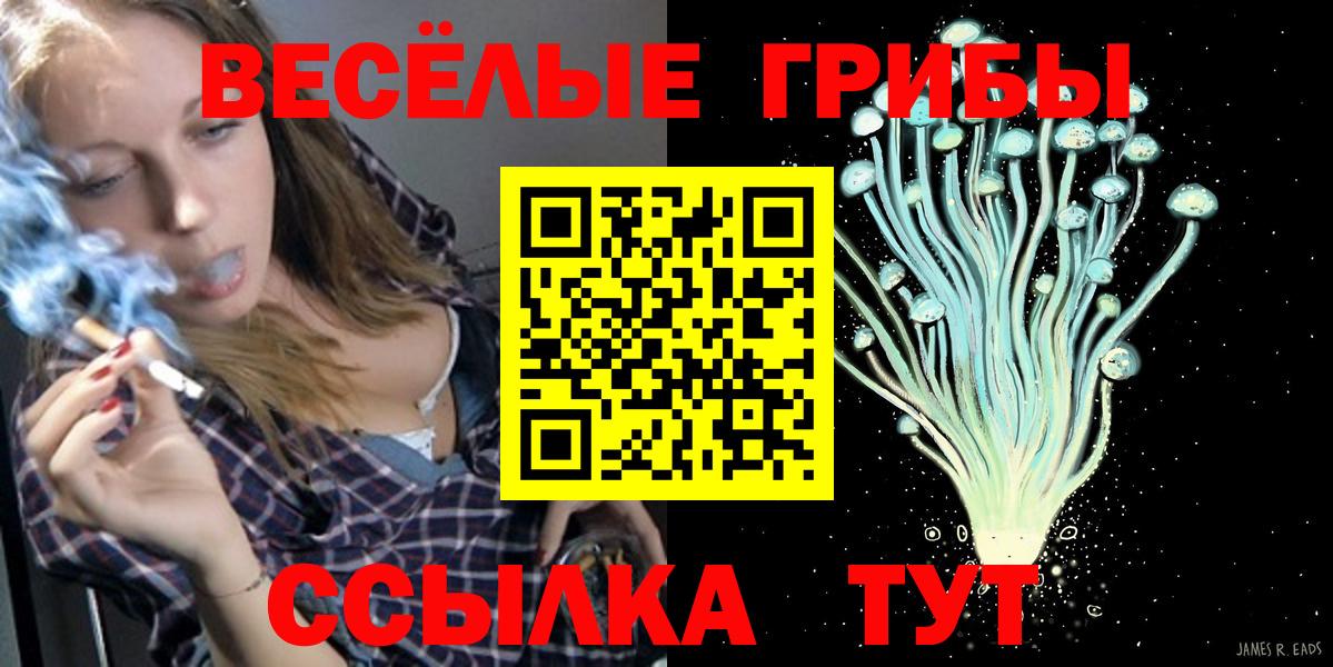 Бахчисарай  Галлюциногенные грибы GOLDEN TEACHER  Вход с VPN 